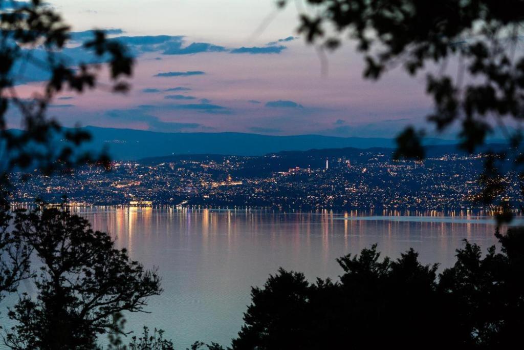 Le Garden - Ski - Vue Lac - Piscine - Parking - Evian - Thonon - 吕格兰 外观 照片